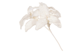 Украшение декоративное Goodwill Пуансеттия 66 см, меховые листья, белое