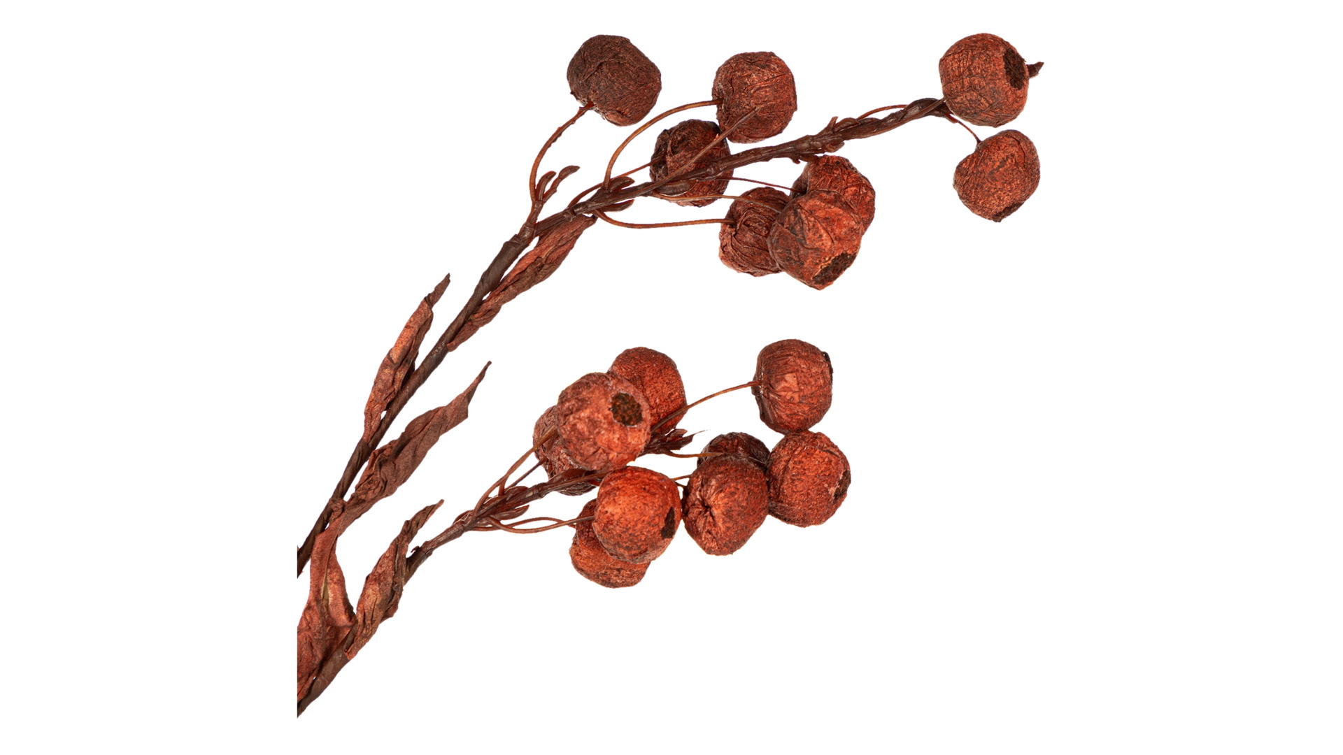 Украшение декоративное Goodwill Ветка с ягодами 78 см, коричневое