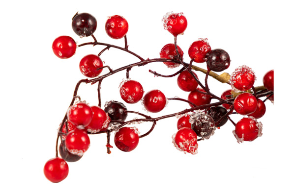Украшение декоративное Goodwill Ледяные ягоды 70 см