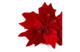 Украшение декоративное Goodwill Пуансеттия 50 см, красное