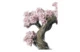 Фигурка Lladro Пора цветения - дерево 20х26 см, фарфор