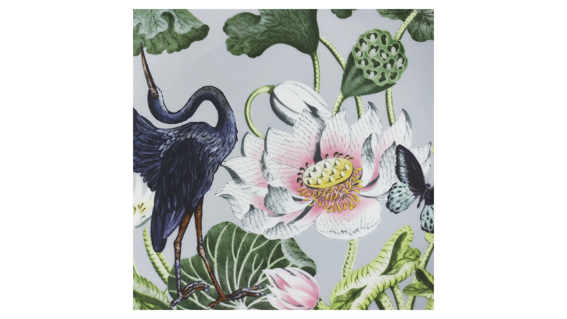 Тарелка закусочная Wedgwood Вандерласт Водяная лилия 20 см, фарфор