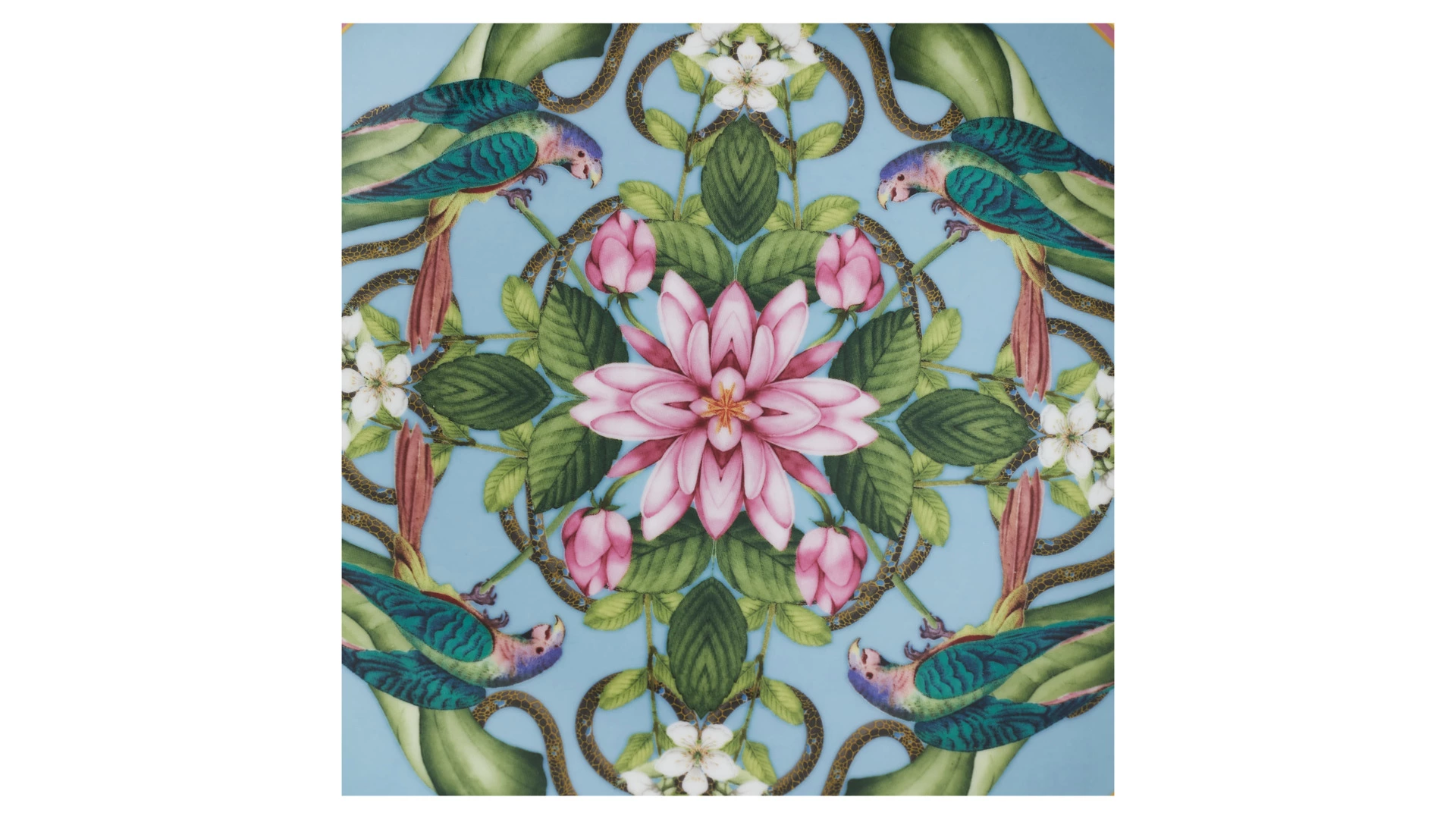 Тарелка закусочная Wedgwood Вандерласт Животный мир 20 см, фарфор