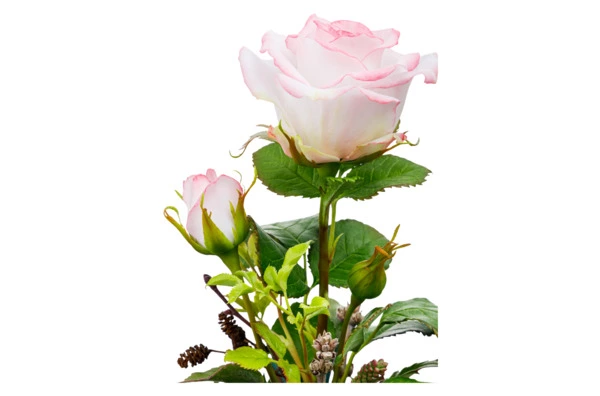 Роза Дольче Вито из холодного фарфора в куполе, п/к