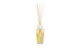 Аромадиффузор Baobab Collection My first Baobab Miami 250 мл, п/к