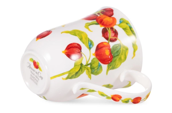 Кружка Dunoon Физалис Бремор 330 мл, фарфор костяной