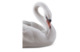 Фигурка Lladro Прекрасный лебедь 10х7 см, фарфор