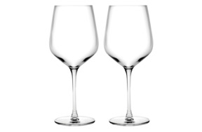 Набор бокалов для белого вина Nude Glass Совершенство 440 мл, 2 шт, хрусталь