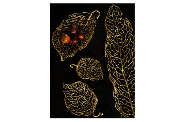 Блюдо Michael Aram Осенние листья 115х33 см, латунь