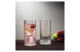 Стакан хайбол Nude Glass Уэйн 250 мл, хрусталь бессвинцовый