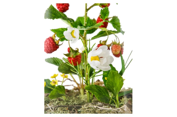 Композиция из холодного фарфора Ягодное лето