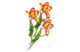 Брошь Русские самоцветы Елагинский тюльпан 38,21 г, серебро 925