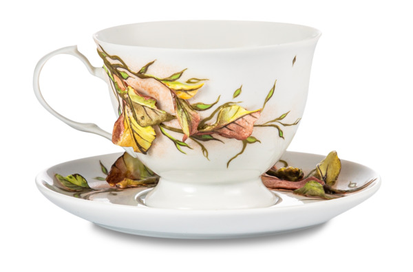 Чашка чайная с блюдцем Delta-X Осень, фарфор