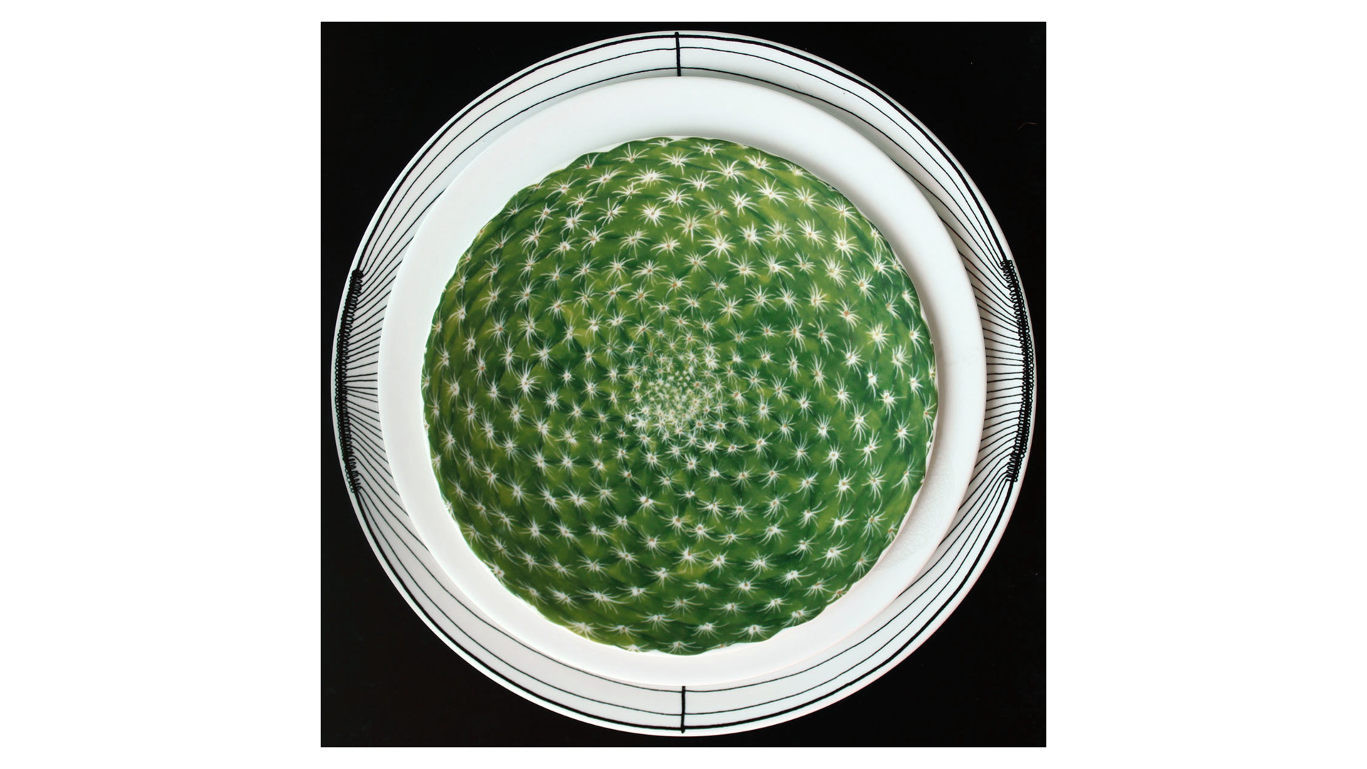 Тарелка закусочная Taitu Кактусы 23 см, фарфор костяной