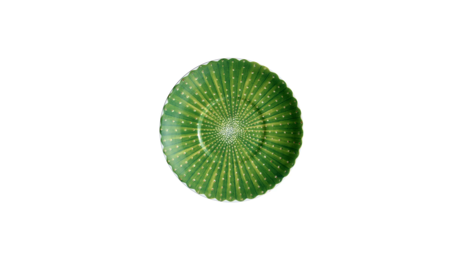 Чашка кофейная с блюдцем Taitu Кактусы 100 мл, фарфор костяной