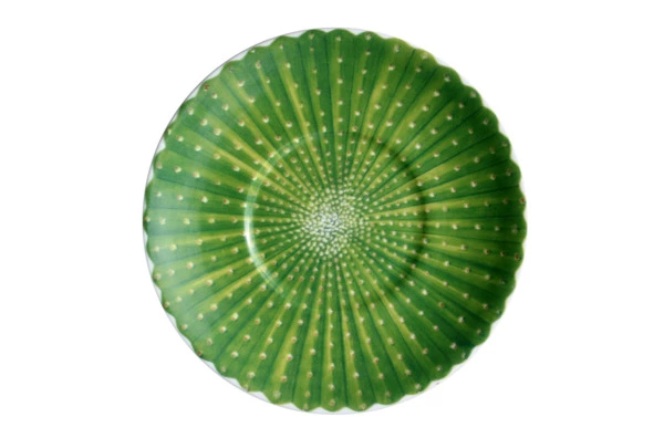 Чашка кофейная с блюдцем Taitu Кактусы 100 мл, фарфор костяной