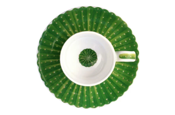 Чашка кофейная с блюдцем Taitu Кактусы 100 мл, фарфор костяной