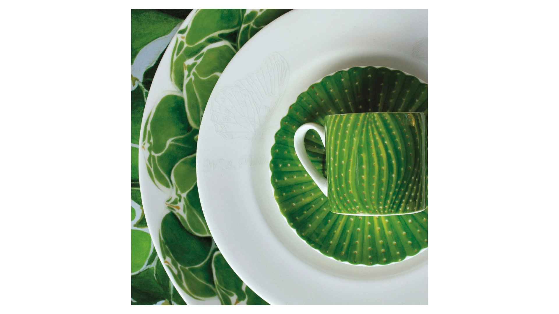 Чашка кофейная с блюдцем Taitu Кактусы 100 мл, фарфор костяной