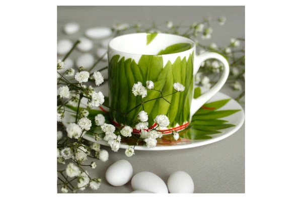 Чашка кофейная с блюдцем Taitu Лист с красной нитью 100 мл, фарфор костяной