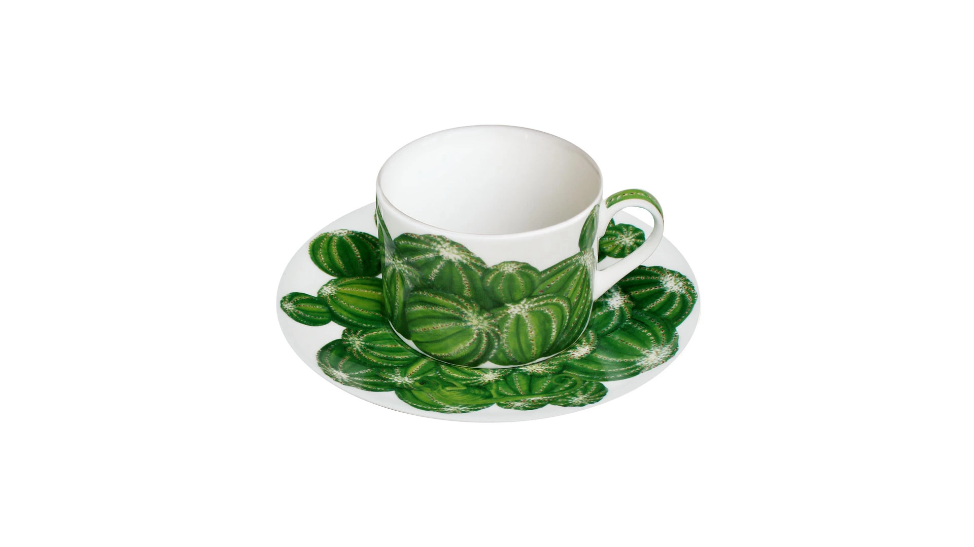 Чашка чайная с блюдцем Taitu Кактусы 230 мл, фарфор костяной