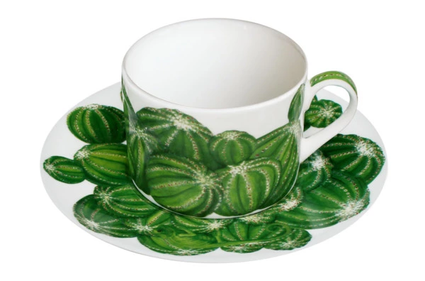 Чашка чайная с блюдцем Taitu Кактусы 230 мл, фарфор костяной