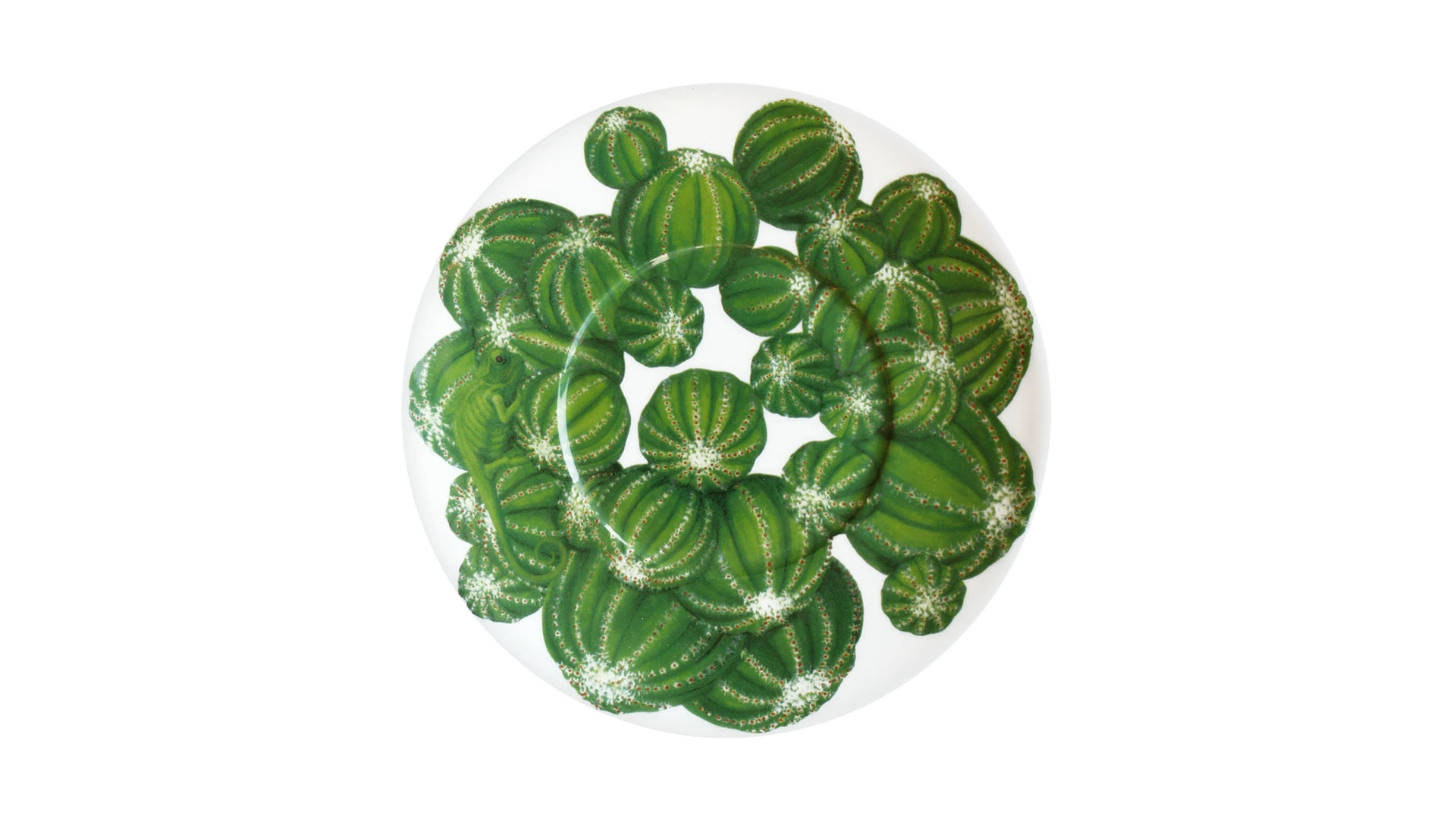 Чашка чайная с блюдцем Taitu Кактусы 230 мл, фарфор костяной