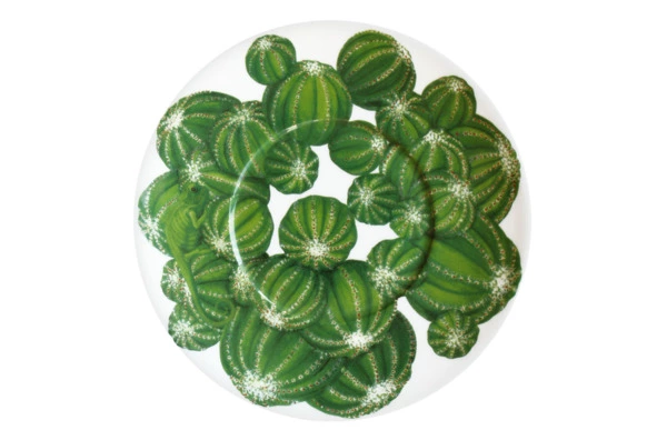 Чашка чайная с блюдцем Taitu Кактусы 230 мл, фарфор костяной