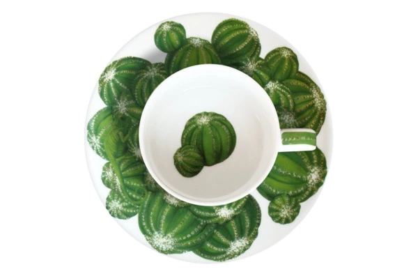 Чашка чайная с блюдцем Taitu Кактусы 230 мл, фарфор костяной