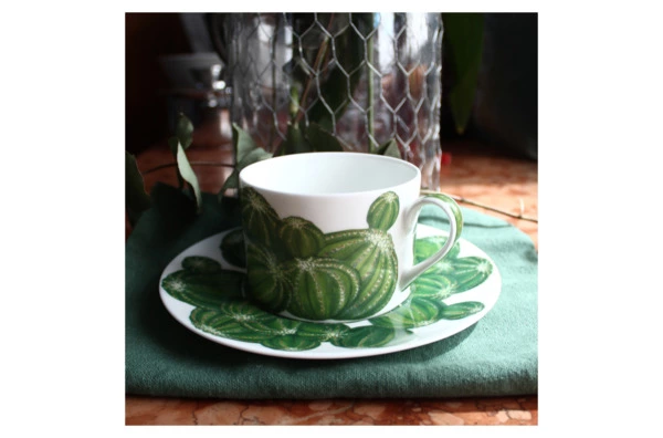 Чашка чайная с блюдцем Taitu Кактусы 230 мл, фарфор костяной
