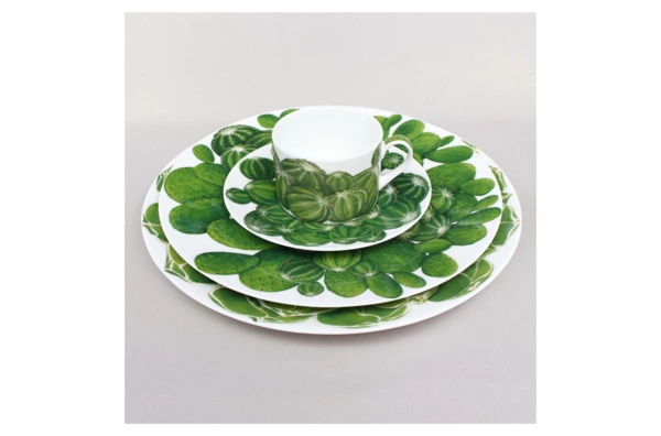 Чашка чайная с блюдцем Taitu Кактусы 230 мл, фарфор костяной