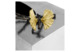 Салфетница Michael Aram Бабочки Гинкго 22х12х12 см, латунь, сталь нержавеющая