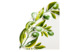 Блюдо овальное Edelweiss Оливки 32х20х3 см, керамика