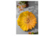 Блюдо круглое 3D Edelweiss Маргаритка 36 см, керамика, желтое