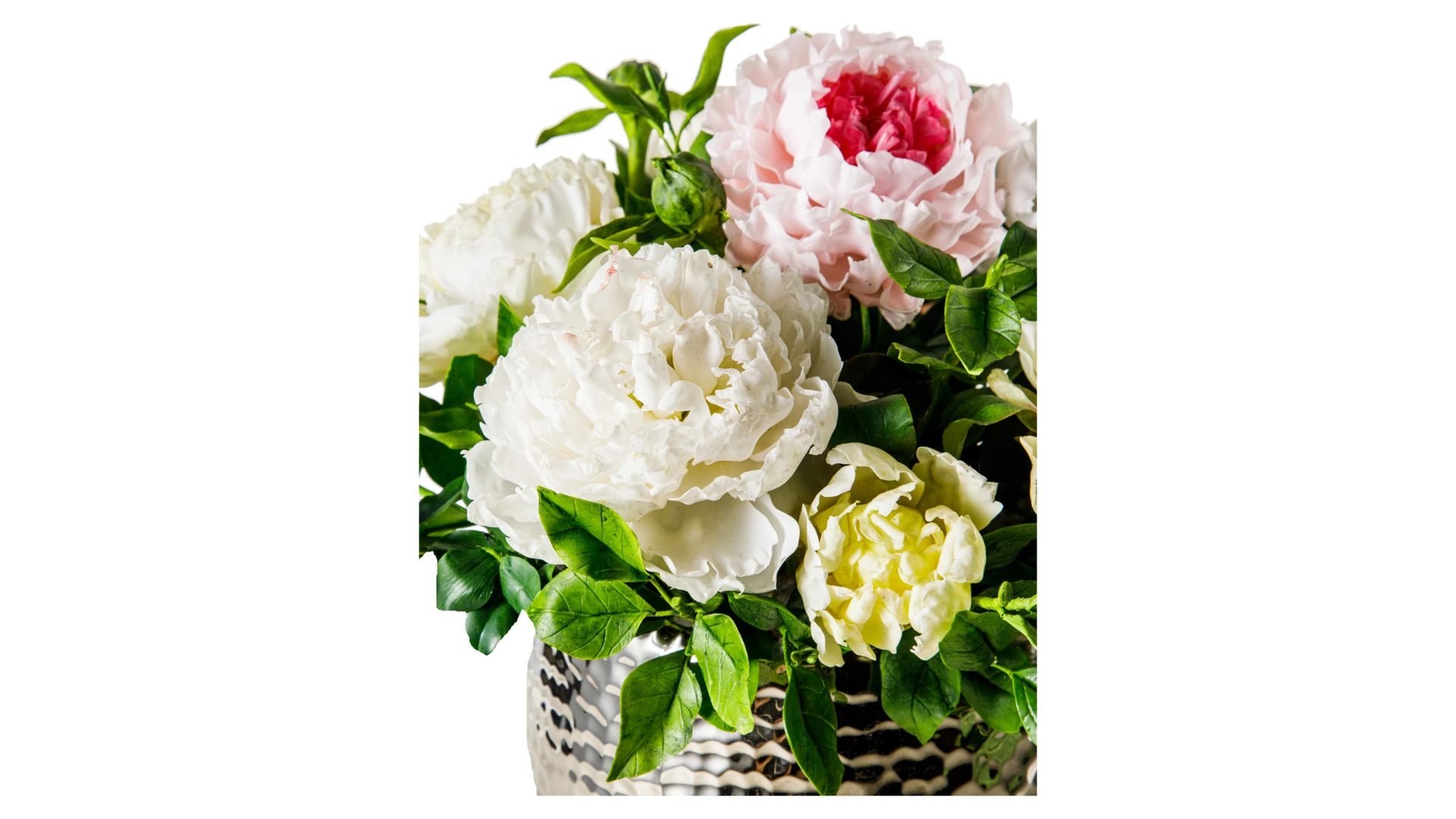 Композиция из холодного фарфора Сара Бернар