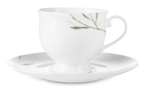 Чашка чайная с блюдцем Narumi Ботаника 230 мл, фарфор костяной