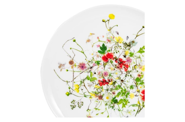 Сервиз чайный Rosenthal Дикие цветы на 6 персон 21 предмет №3, фарфор костяной