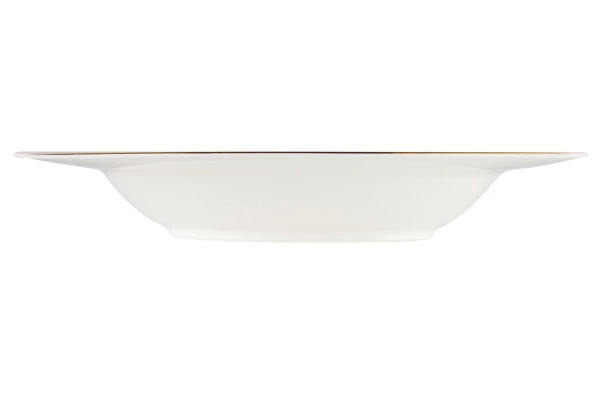 Сервиз столовый Noritake Трефолио, золотой кант на 6 персон 20 предметов №4