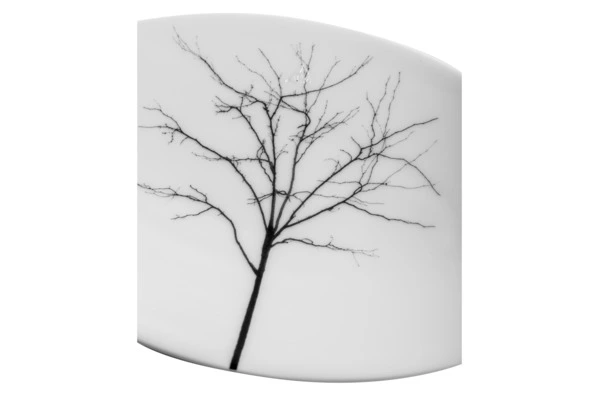 Блюдо овальное Dibbern Чёрный лес 16 см, фарфор костяной