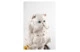 Фигурка Lladro Персидский кот 26х25х26 см, фарфор
