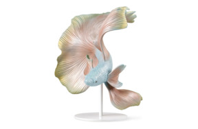 Фигурка Lladro Рыбка Бетта, см, фарфоротрит налево 33х28х22 см, фарфор