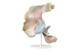 Фигурка Lladro Рыбка Бетта смотрит налево 33х28х22 см, фарфор