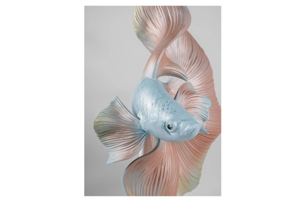 Фигурка Lladro Рыбка Бетта смотрит направо 36х31х30 см, фарфор