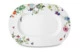Сервиз столовый Rosenthal Горный воздух на 6 персон 20 предметов, фарфор костяной