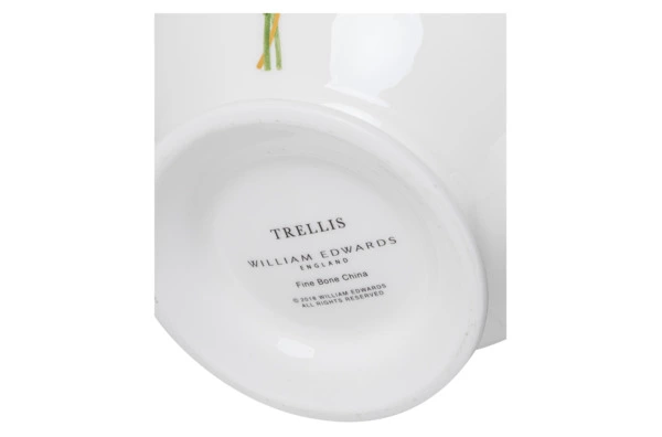 Сервиз чайный William Edwards Трельяж на 6 персон 21 предмет №2, фарфор костяной