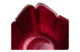 Чаша Argenesi Tulipano 22х10 см, бледно-розовая, стекло