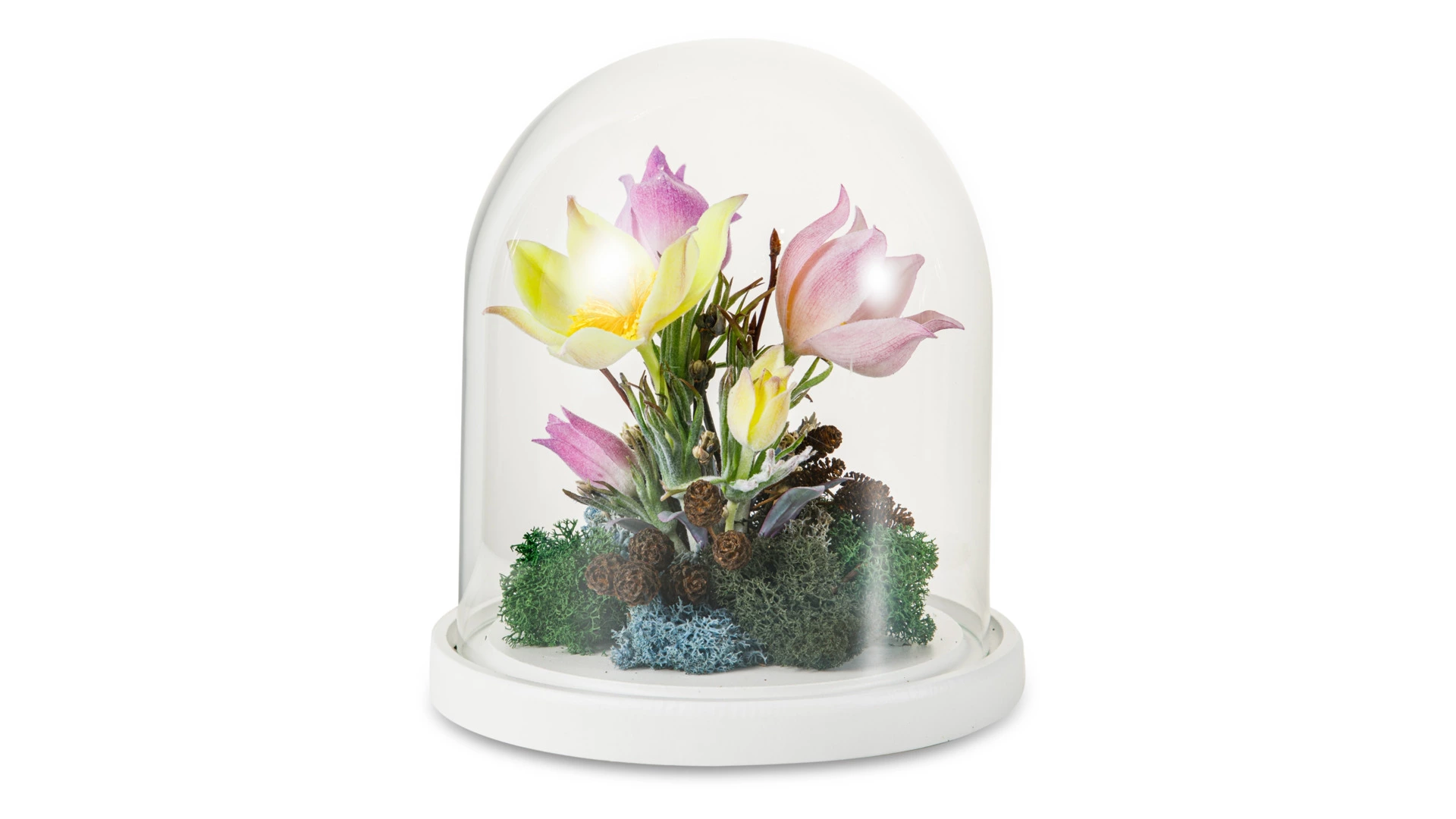 Лютики-первоцветы из холодного фарфора в куполе Н15, белая подставка МДФ