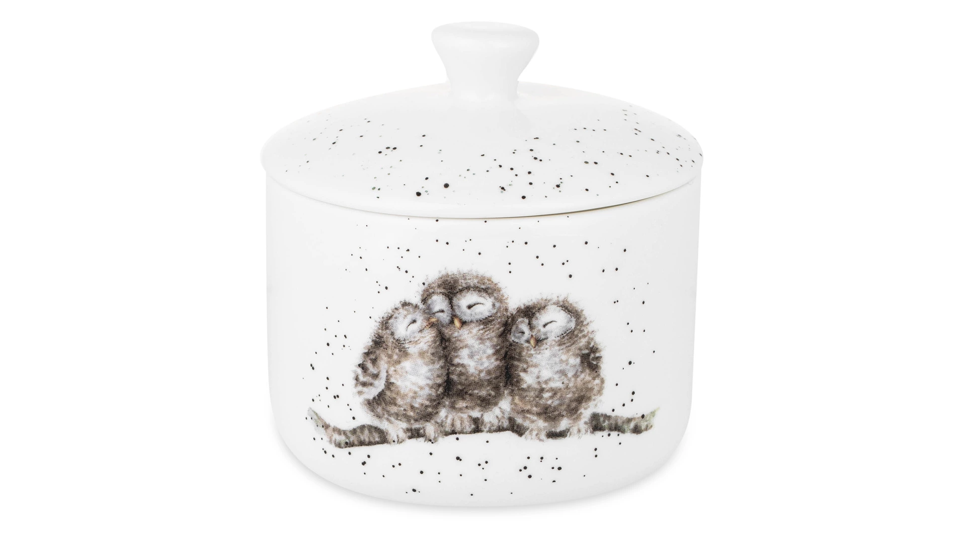 Банка для хранения с крышкой Royal Worcester Забавная фауна Совы 9,5х10 см, фарфор костяной