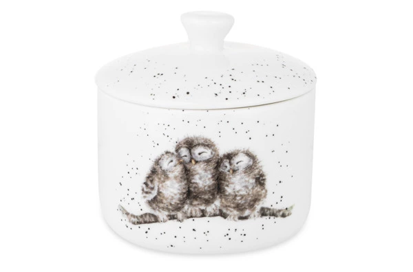 Банка для хранения с крышкой Royal Worcester Забавная фауна Совы 9,5х10 см, фарфор костяной