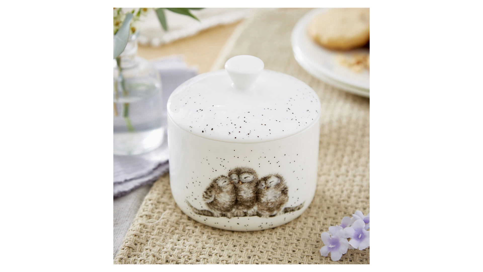 Банка для хранения с крышкой Royal Worcester Забавная фауна Совы 9,5х10 см, фарфор костяной