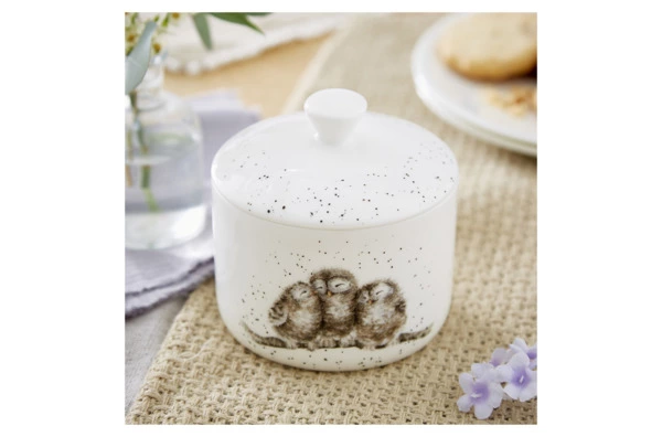 Банка для хранения с крышкой Royal Worcester Забавная фауна Совы 9,5х10 см, фарфор костяной